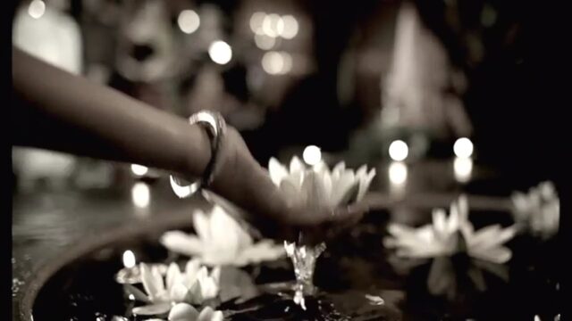 3. DTC - Diamond Bride
